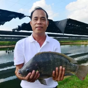 �@�����ӻ���30��������һ���ИI֪���_���~Ʒ��