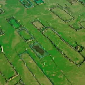 ��(chu��ng)����ˮ�a(ch��n)��I(y��)�ĸ��������HͶ�Y�������(zh��n)�Ї������(xi��ng)Ŀ