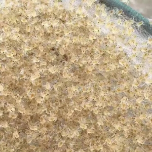 ������Iӿ��з���ИI����з�a�I����׃܉��