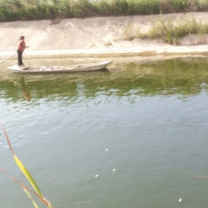 ����Sɳ���Bֳ���Mˮ���l�������~������ԭ��