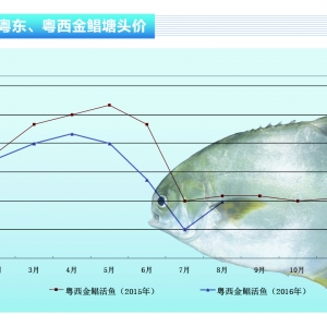 ���K���~�r���m���� ���в��ݘ��^������ˮ�aǰ�ء�2016��9�¿��Ј�څ��