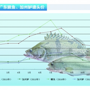 �Z�~�����~�������� �~�r������ݡ�����ˮ�aǰ�ء�2016��9�¿��Ј�څ��