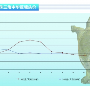 ���~��8�����~�r�����л���������ˮ�aǰ�ء�2016��9�¿��Ј�څ��