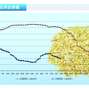 ���ף����߼Z�B������������ �������֌��ɸ�֡�����ˮ�aǰ�ء�2016��9�¿��Ј�څ��