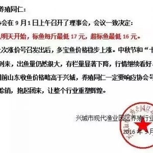 �d�Ƕ����~��ُ�r���ٴ����{���q�r��������