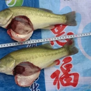 �@�������|�Bֳ���֞���܉�Խ�ώ����ε��^�I��