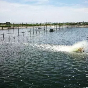 �����r����Ͷ�磬���ܶȺ͸��ܶ��Ă����V��