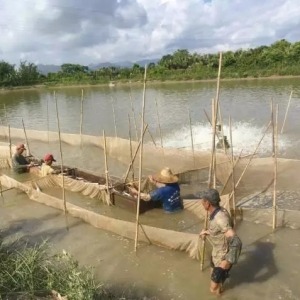 �ߜؼ����������~�P�غͳ��۵��P�I�c����