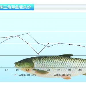 ���~��10�����錢�S�ַ���������ˮ�aǰ�ء�2016��10�¿��Ј�څ��