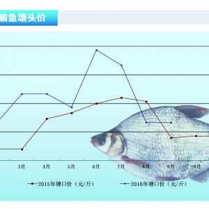 ���~���K�σr(ji��)��ƽ��(w��n) �K�����~�������С�����ˮ�a(ch��n)ǰ�ء�2016��10�¿��Ј�څ��