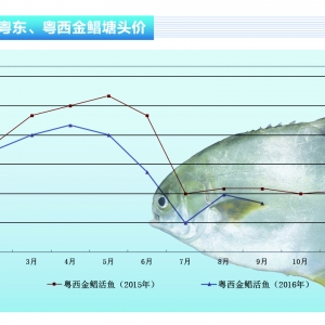 ���K�����x���´�����J�p ���Ѓr�񿴝q������ˮ�aǰ�ء�2016��10�¿��Ј�څ��