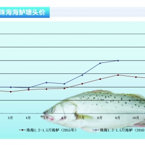 ���|����ǰ���M���� �r��򷀲��ϝq������ˮ�aǰ�ء�2016��10�¿��Ј�څ��