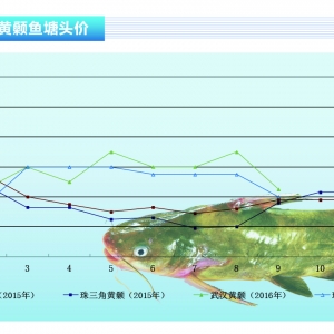 �S��~�����~�߷� �~�r�ߵ͡�����ˮ�aǰ�ء�2016��10�¿��Ј�څ��