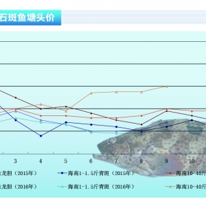 ʯ���~(y��)���~(y��)�r(ji��)ӭ��(l��i)�ϝq������ˮ�a(ch��n)ǰ�ء�2016��10�¿��Ј�(ch��ng)څ��(sh��)