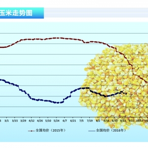 ���ף��V�|��漱��֧�΃r���λ �Ј����w�S�����ݸ�֡�����ˮ�a(ch��n)ǰ�ء�2016��10�¿��� ...