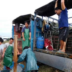 ���������g�������|�����简Ͷ8000β������9�·��B�������^�~