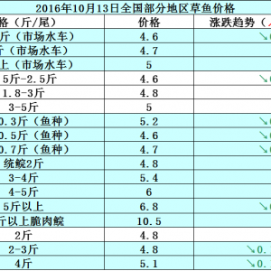 2016��10��13�ղ��~���S��~���a�~����з������߅�r