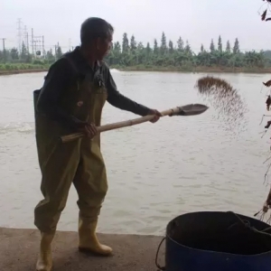 �^�и��I��ˮ����ȫ�����Ͷι�����|���ב�@�^���~���f��