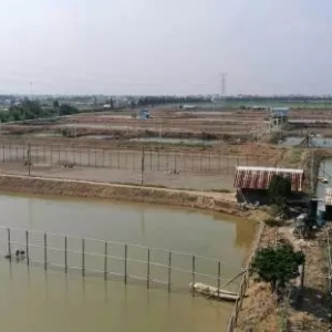 ���ϏV�|�V����12���B�rʡ��10�·݄ӑB�R���������r�Bֳ���ԣ������r�Bֳ�����T����