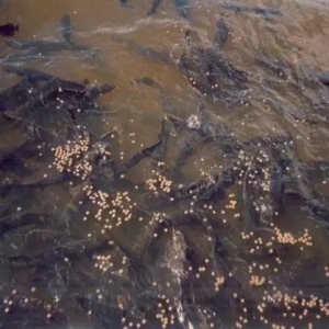 һ������20��͵������޹����~�����ɞ�δ����T�Bֳ��ˮ�~