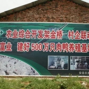 ����2017���r�I�����Ŀ�_ʼ���