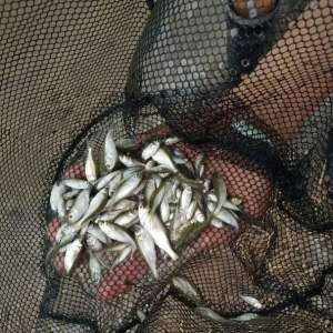 ���~�����D�ϰ����������P�I���g