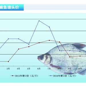���~���r(ji��)��څ�ݻ�?q��)����m(x��)���С�����ˮ�a(ch��n)ǰ�ء�2016��11�¿��Ј�څ��