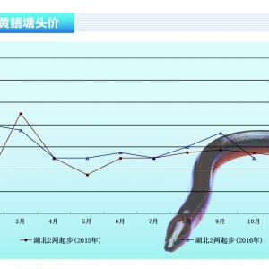 �S�X���r��̕����{ �L���Կ��á�����ˮ�aǰ�ء�2016��11�¿��Ј�څ��