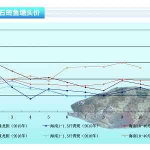 ʯ���~���Ա��ַ�������������ˮ�aǰ�ء�2016��11�¿��Ј�څ��