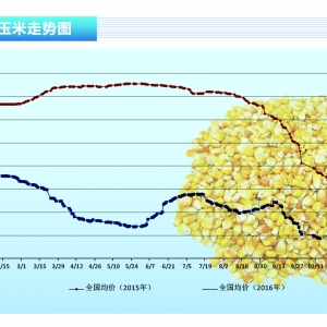 ���ף��r��Љ����� �Ј�����څ�ݓ�˷���x������ˮ�a(ch��n)ǰ�ء�2016��11�¿��Ј�څ��
