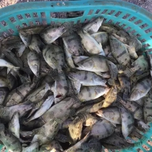 11��3��ȫ�����~��Ҫ�Bֳ�^����r