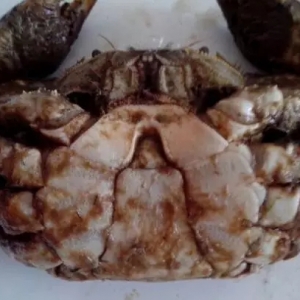 ��з�����оͿ���Դ����ˣ��eЦ̫�磬��з�ڃȵ��@������c߀������