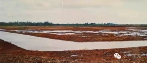 ˮ�a�˱ؿ�����ĳ���ȱ�F�᣿�\���F��ˮ�a�Bֳϵ�y�е���Ҫ��