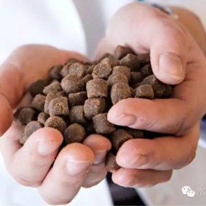 ţ�������󶹳���ί�T������������ȫˮ�a����䷽�����죬����_�l�����^��