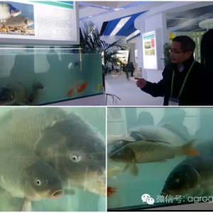 �����ԣ������ϵ�һ�l�D�����~��Λ]������