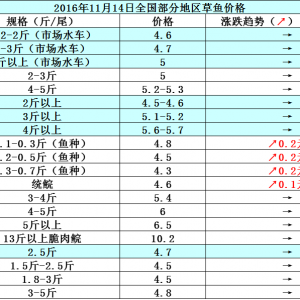 2016��11��14�ղ��~���a�~����з������߅�r