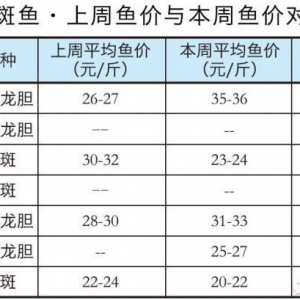 2016��11��16�պ����㽭�V�|�S��~���^�r(ji��)