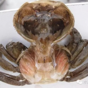 ��ˮ�T�ӡ���з��(n��i)�Ĳ�ԭ���������S���@��