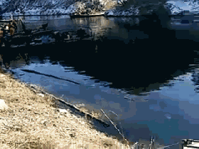 �ӱ���8�f��ˮ�a(ch��n)�ϵ�ˮ��W(w��ng)�䱻�������