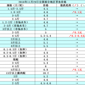 2016��11��29�ղ��~���a�~����з������߅�r