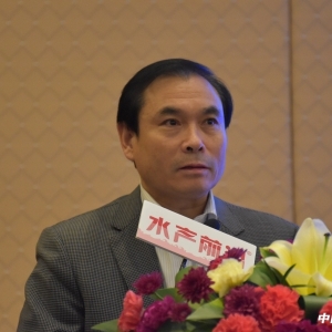 ��������ߌá�ȫ��ʯ���~����c�Bֳ�a�I����Փ�����R��