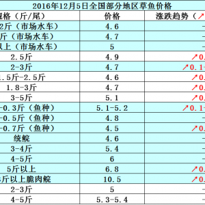 2016��12��5�ղ��~���a�~�������|����з������߅�r