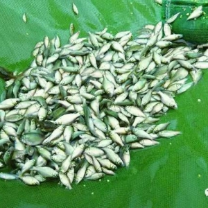 �_���a�~������Bֳ�Ј�������