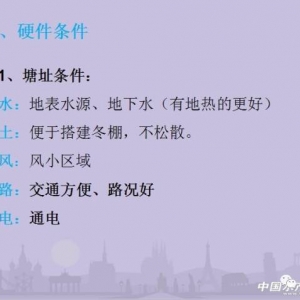 �����r�Bֳ��Ҫ������Щ���g�P�I�c��