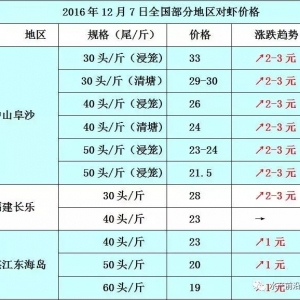 12��7�ո��،��r���_���~����з���r��