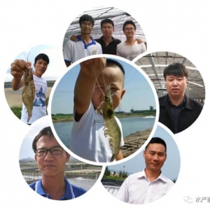 5������ٍ���f�����Ƽ��c�B�r�����ײ����