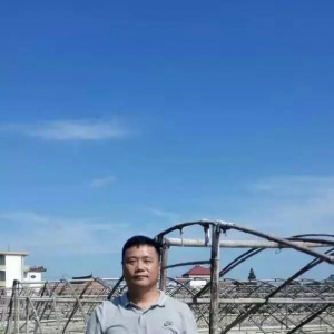 �������塱�����ǂ�ʲô�������Խ��Խ�ܱ����B�r�I���Pע��׷����