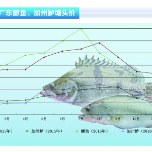 �����|�����~������ �r�����С�����ˮ�aǰ�ء�2016��12�¿��Ј�څ��