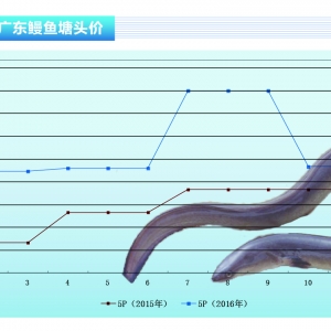 ���~�����֮a(ch��n)���~�r(ji��)��������������ˮ�a(ch��n)ǰ�ء�2016��12�¿��Ј�(ch��ng)څ��(sh��)