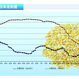 ���ף������o�����\���� �������׃r�񡪡���ˮ�a(ch��n)ǰ�ء�2016��12�¿��Ј�څ��